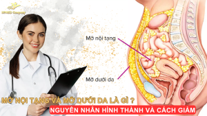 mỡ nội tạng và mỡ dưới da là gì ? nguyên nhân hình thành và cách giảm mỡ nội tạng và mỡ dưới da