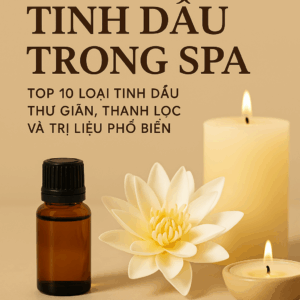 Top 10 Tinh Dầu Trong Spa Hay Sử Dụng – Bí Quyết Tạo Nên Không Gian Spa Hoàn Hảo